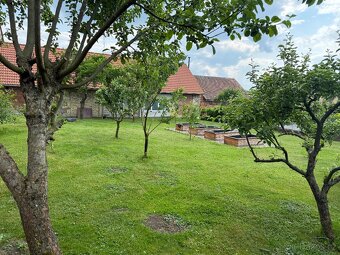 Prodám dům(statek) - 9