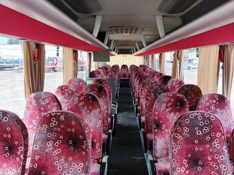 Man Lion's Coach - 9