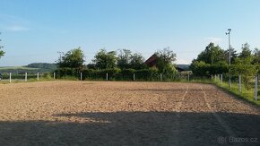 Ustájení koní 24/7 - 9