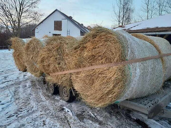 Seno pro koně z Vysočiny z haly - 9