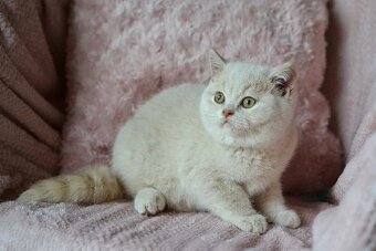 Kocourci s PP k rezervaci - 9