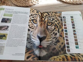 Příroda Velký obrazový průvodce - 9