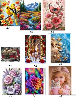 DIY Diamond painting Diamantové malování 30x40 - 9