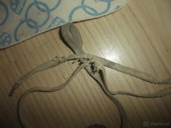 Brusle lední Botas v 38 kožené Brno - 9