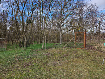 Prodej chaty, vinice, lesa 1793 m², Břeclav - Charvátská - 9
