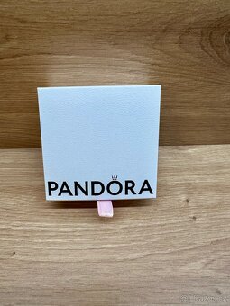 PANDORA náramek, přívěsek, čistící sada a otevírač na šperky - 9