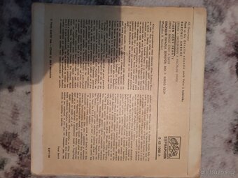 Malé vinylové desky (singly) - 9