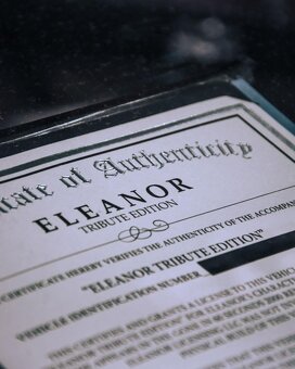 ELEANOR Shelby GT500 V8 - 9