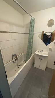 Pronájem prostorného bytu 2+1 s podkrovním prostorem - 9