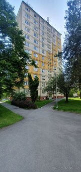 Pronájem bytu 1+1 v Českém Těšíně - 9