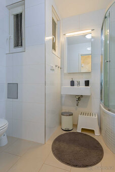 Pronájem bytu 1+1, U Pernštejnských, Praha - Nusle, Praha 4 - 9