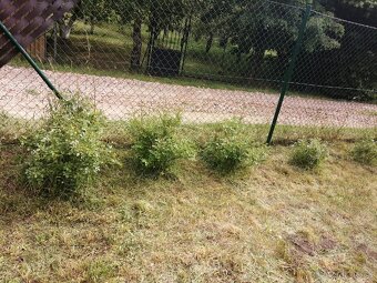 Pronájem zahrady - 9