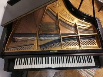 Klavírní křídlo - 9