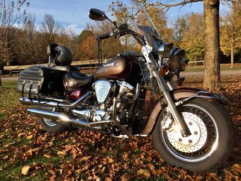 Yamaha XV 1600 WildStar - 9