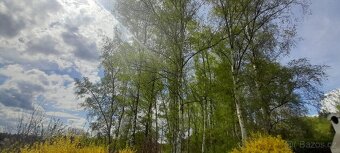 Zahrada s chatou pozemek 590m2 elektřina - 9