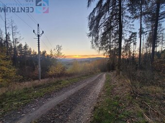 Prodej pozemku v blízkosti obce Bzí u Železného Brodu - 9