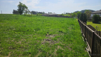 Stavební pozemek Jílové u Držkova - 4564 m2 - 9
