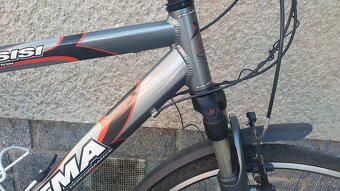 Pánské horské kolo Dema Assisi - 9