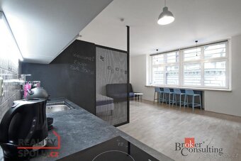Pronájem, byty/1+kk, 47 m2, Sokolská 113/8, 46001 Liberec, L - 9