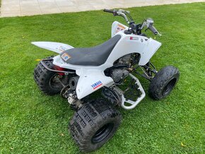 Yamaha Raptor 250 - 9