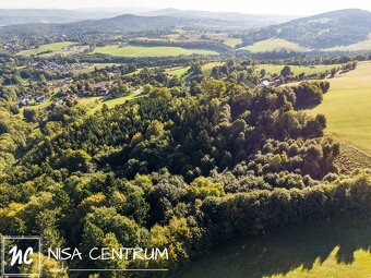 Prodej lesa 30 343 m² v Šimonovicích - 9