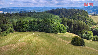 Prodej louky, 14409 m², Prlov - 9