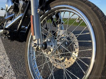Harley Davidson Softail - 9