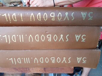 Obrázková kronika / hnutí na rusi - 9