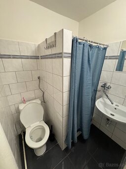 Dlouhodobý pronájem bytu 1+1, 29m², Ostrava-Zábřeh - 9