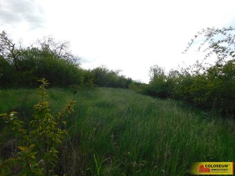 Znojmo, zahrada 473 m2, elektřina, voda, ovocné stromy - zah - 9