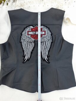 HARLEY DAVIDSON® Vesta XL - 9