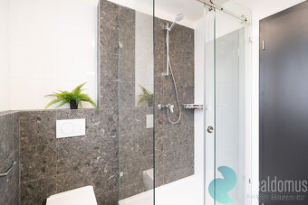Pronájem nadstandardního bytu 2+kk, 55,2 m² , B. Smetany, Če - 9
