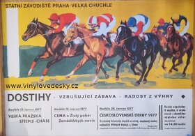 Plakáty koní - 9