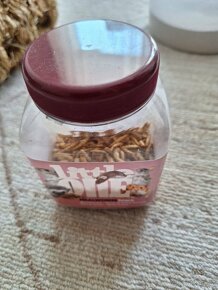 Klec pro hlodavce s výbavou - 9