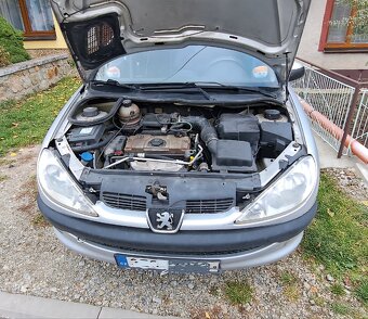 Peugeot 206 - 9