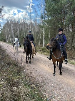 Lesní jezdecké tábory - 9