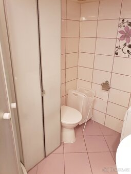Pronajmu byt 1+kk v Praze – Karlín, ul. Pernerova - 9