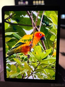 iPad Pro 11´´ WIFI A1980 - 9