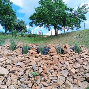 Pozemek - zahrada, Naloučany - 9