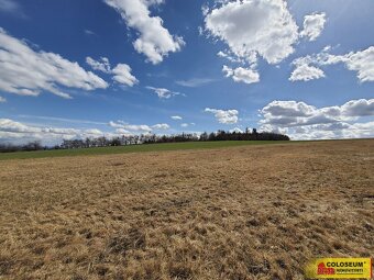 Brodek u Konice - orná půda, trvalý travní porost 14 686 m2 - 9