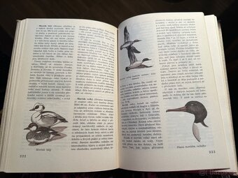 Světem zvířat - 9