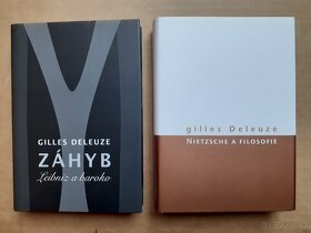 Filosofie Hobbes, Ricoeur, Sokol, Adorno, Jünger, Deleuze - 9