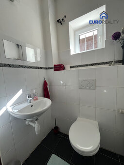 Prodej rodinného domu 336 m2, pozemek 1076 m2, Teplá- Berano - 9