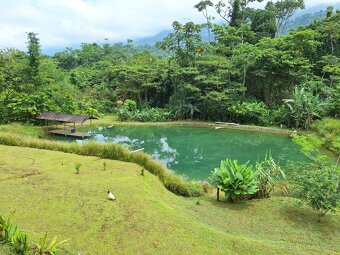 Farma Kostarika Guayacará 152 Ha - 9