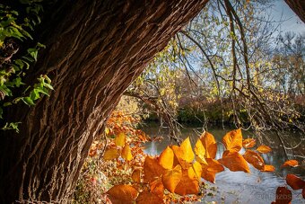 Canon 5D classic full frame - 9