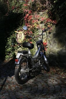 MALAGUTI FIFTY 50 TOP STAV VETERAN - 9