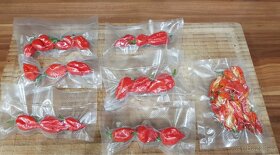 Sazenice TRINIDAD MORUGA SCORPION a CAROLINA REAPER - 9
