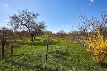 Prodej zahrady (752 m2 ), Rajhrad, ev.č. 00298 - 9
