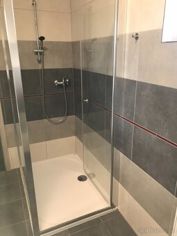 Byt k pronájmu 2+kk (41,8 m2) - 9