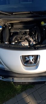 Peugeot 207 rc - 9
